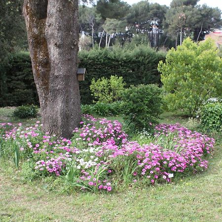 Ecole Buissonniere Appartement Antibes Buitenkant foto