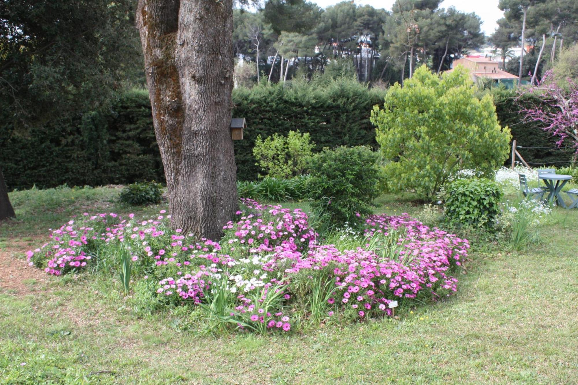 Ecole Buissonniere Appartement Antibes Buitenkant foto